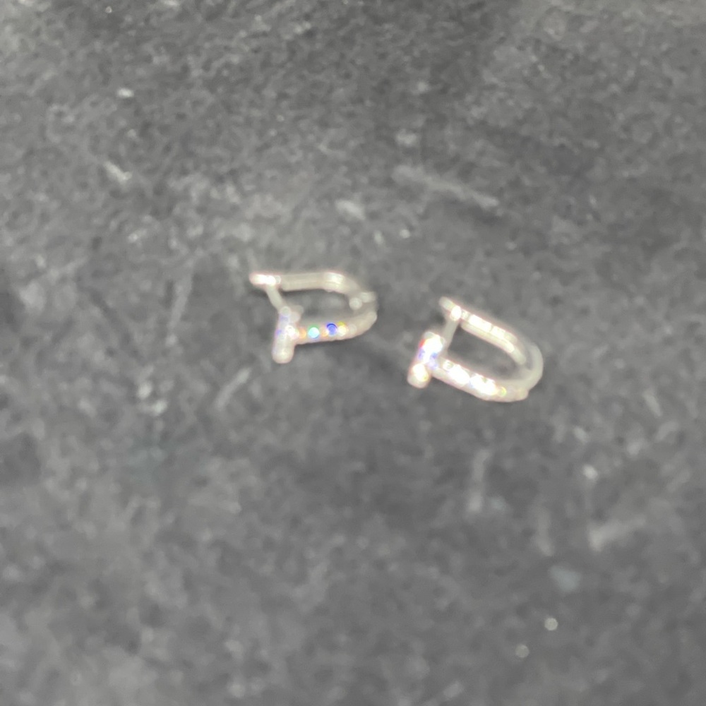 Silver Hoop Earrings